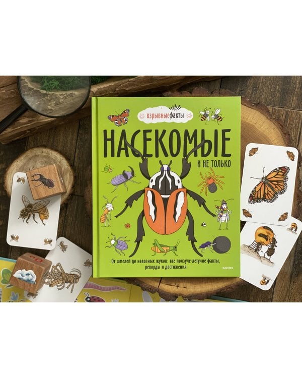 Насекомые и не только. От шмелей до навозных жуков: все ползуче-летучие факты, рекорды и достижения