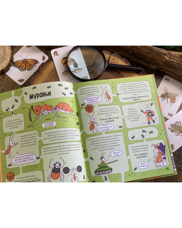 Насекомые и не только. От шмелей до навозных жуков: все ползуче-летучие факты, рекорды и достижения