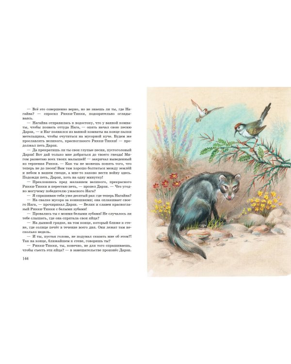 Рикки-Тикки-Тави. Сказки (ил. В. Канивца)