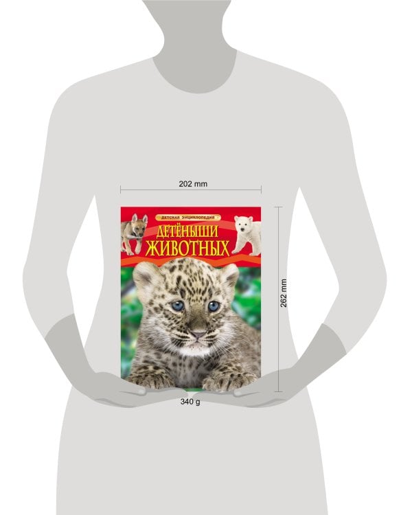 Детеныши животных. Детская энциклопедия