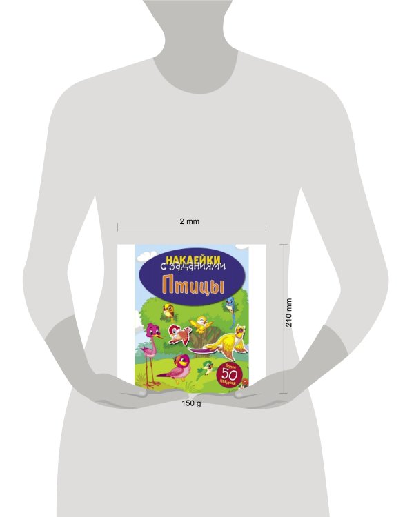 НАКЛЕЙКИ С ЗАДАНИЯМИ. Птицы