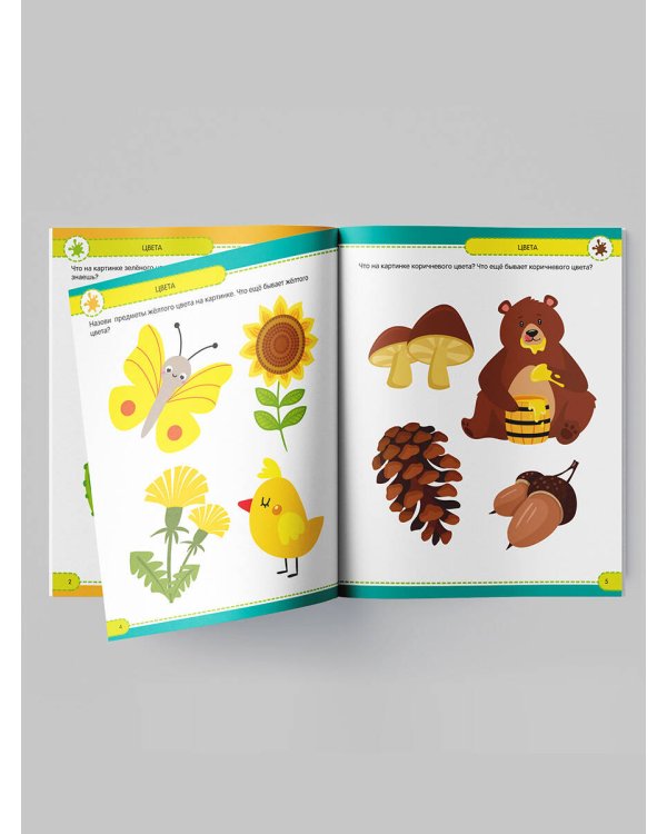 Развивающие задания для дошкольников. Первые знания