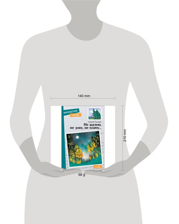 Внек.Чтение. Не жалею, не зову, не плачу….