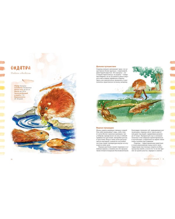 Животные в городе. Где найти и как узнать