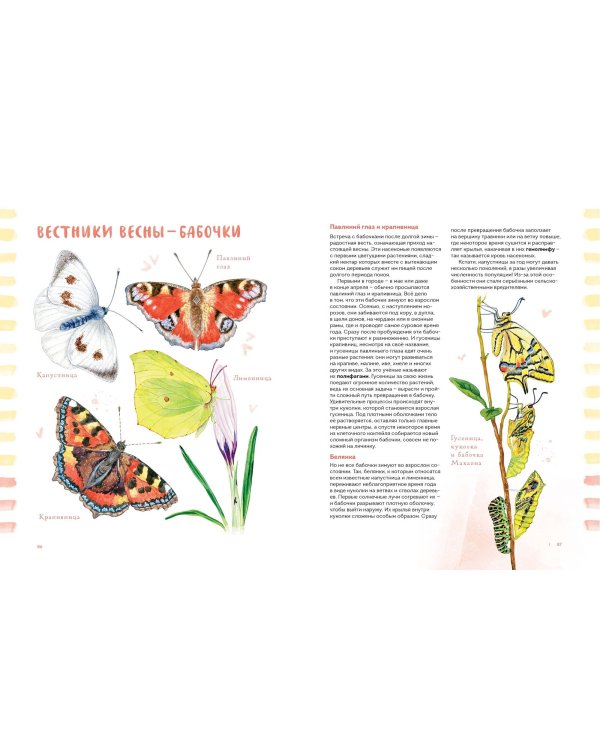 Животные в городе. Где найти и как узнать