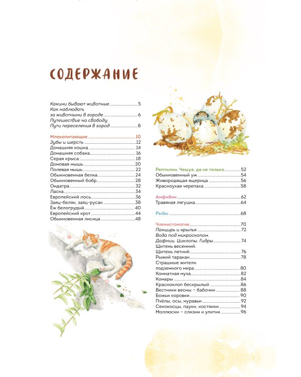 Животные в городе. Где найти и как узнать