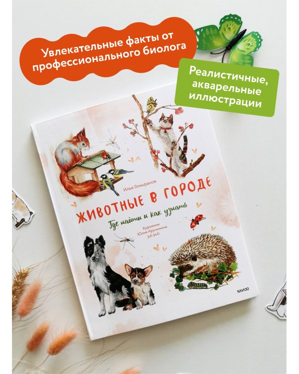 Животные в городе. Где найти и как узнать