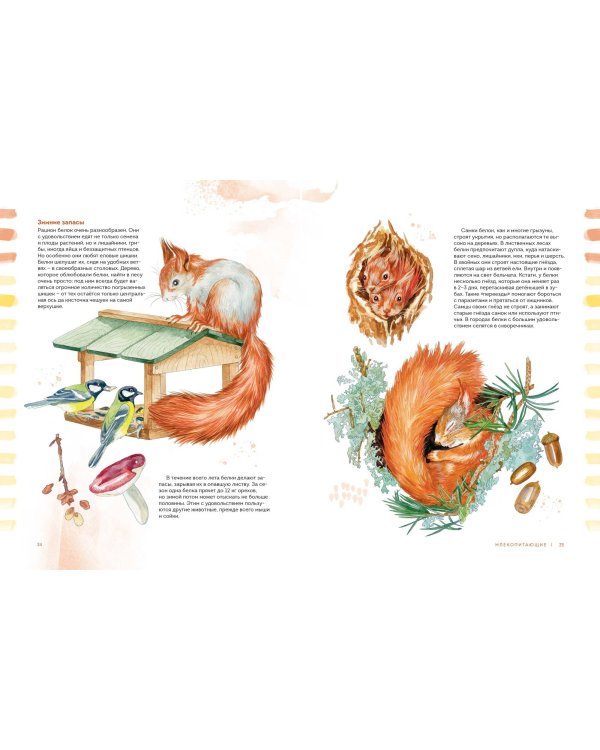 Животные в городе. Где найти и как узнать