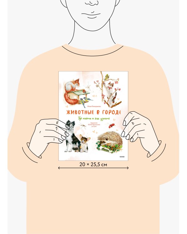 Животные в городе. Где найти и как узнать