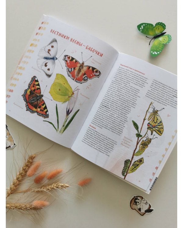 Животные в городе. Где найти и как узнать