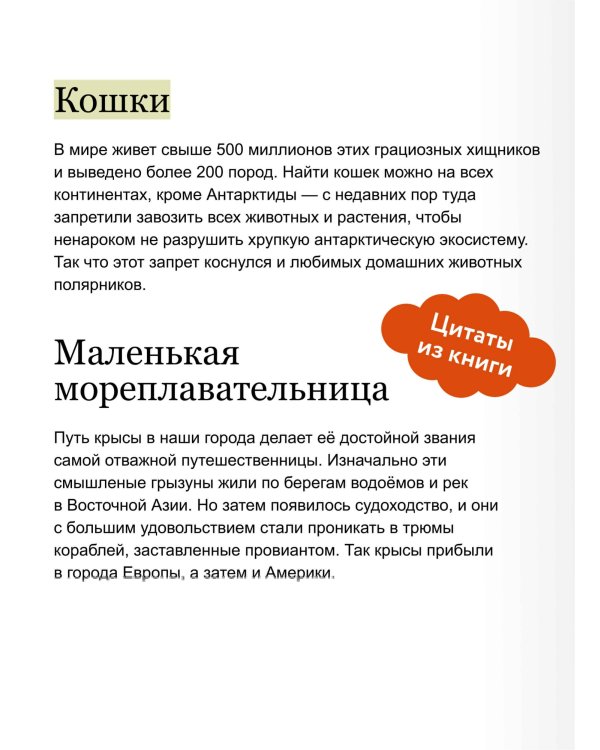 Животные в городе. Где найти и как узнать