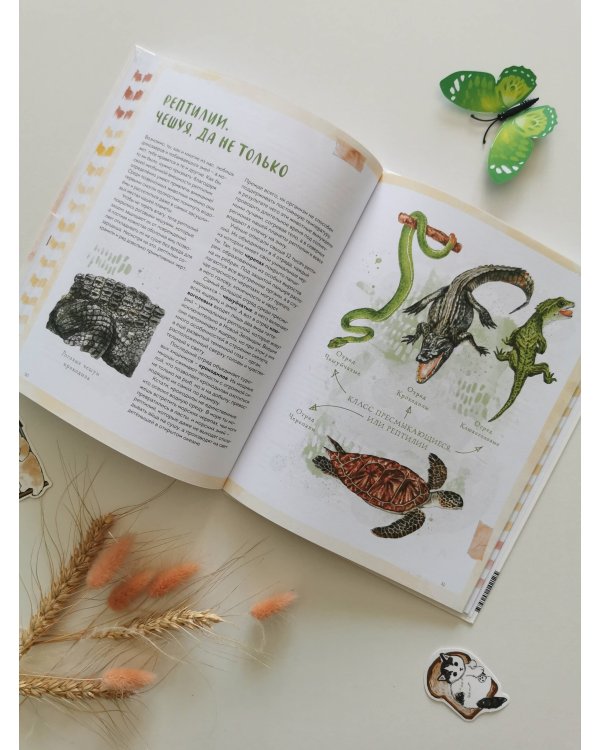 Животные в городе. Где найти и как узнать