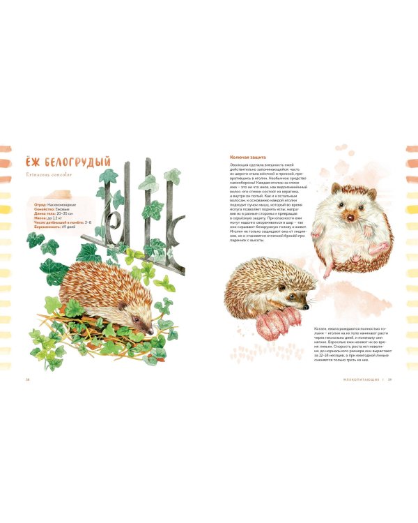 Животные в городе. Где найти и как узнать