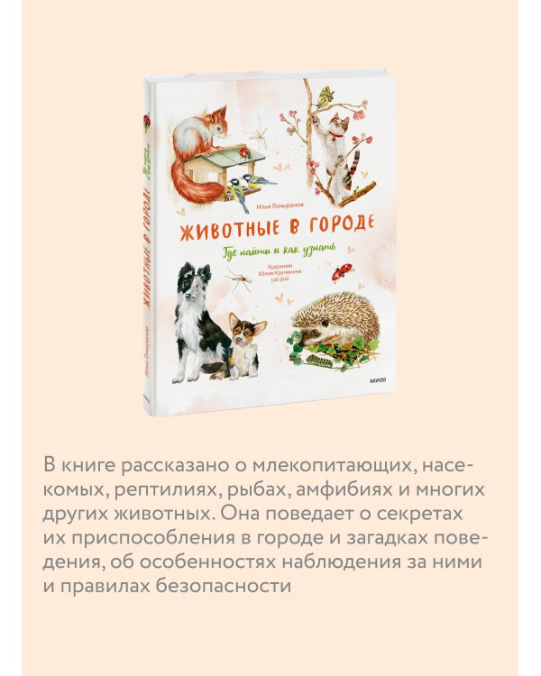 Животные в городе. Где найти и как узнать