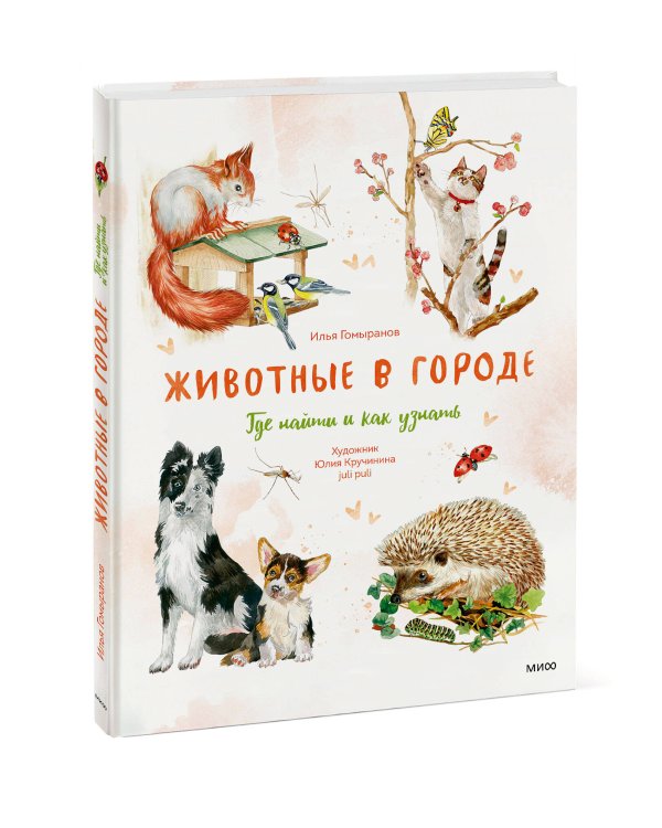Животные в городе. Где найти и как узнать