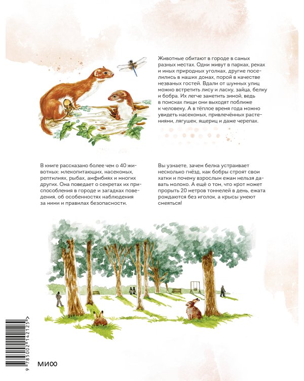 Животные в городе. Где найти и как узнать