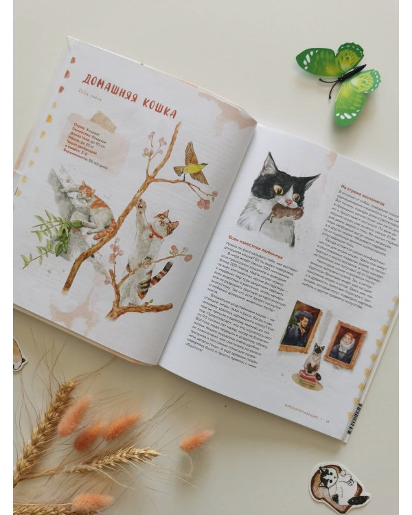 Животные в городе. Где найти и как узнать