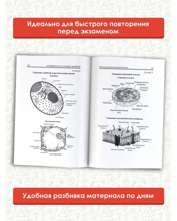 Готовимся к ЕГЭ за 30 дней. Биология