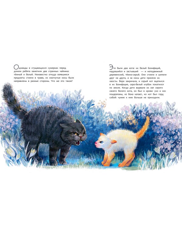 Бонифаций на каникулах