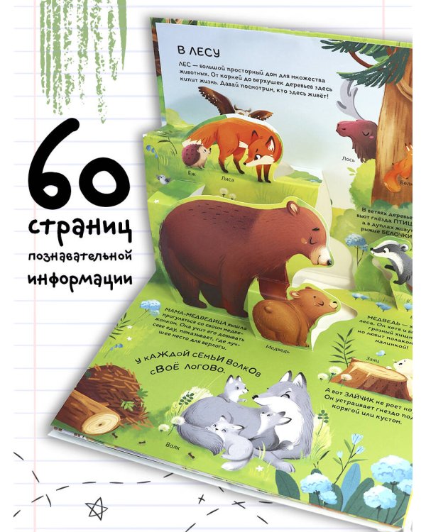 Набор "Почемучка"