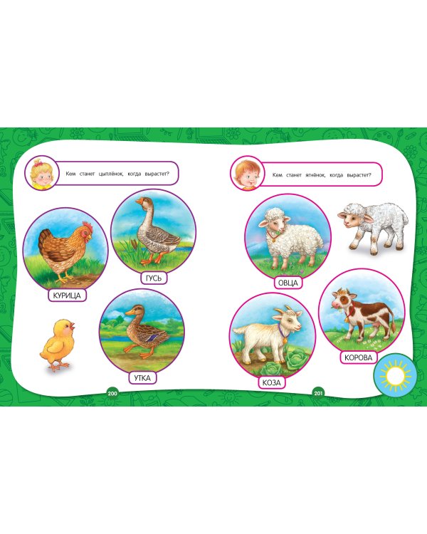 Полный годовой курс занятий: для детей 3-4 лет