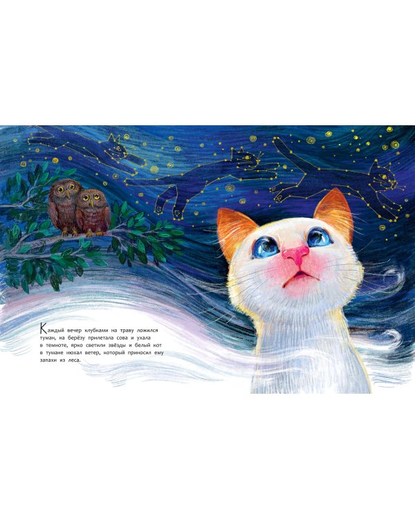 Бонифаций на каникулах