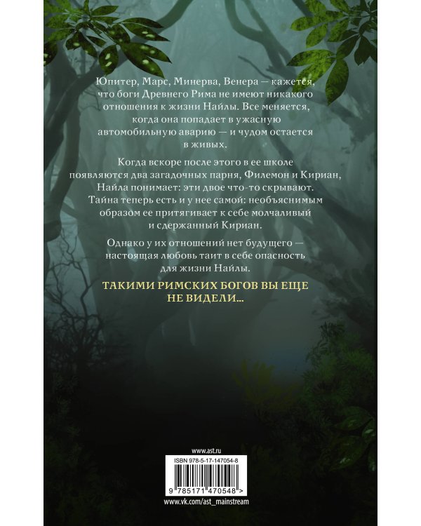 Проклятие богини. За гранью вечности