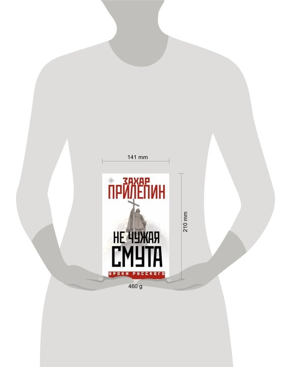 Не чужая смута