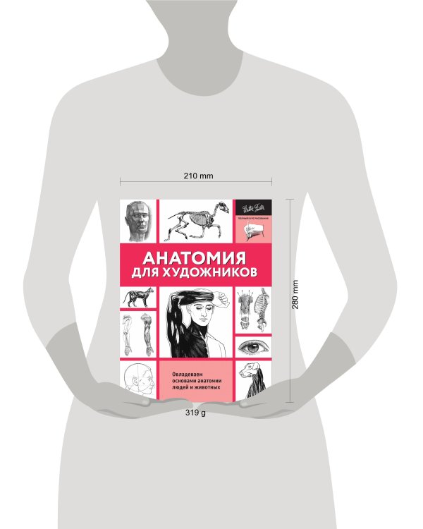 Анатомия для художников
