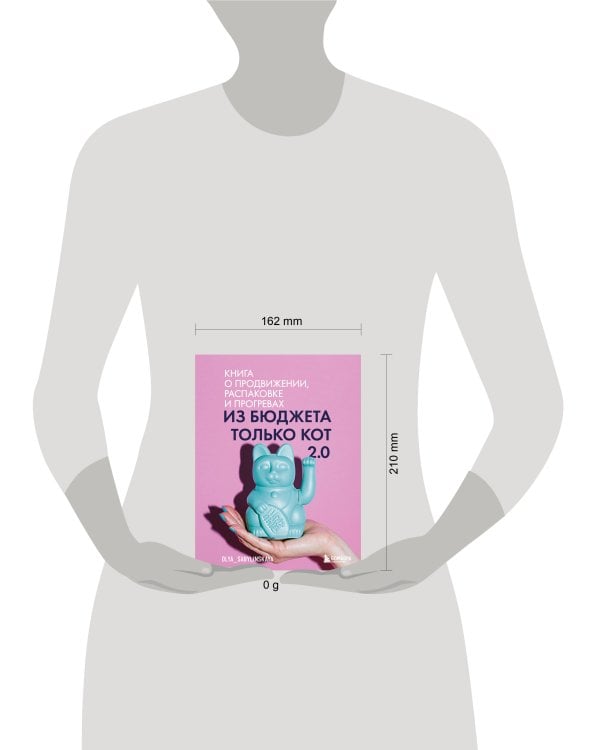 Из бюджета только кот 2.0