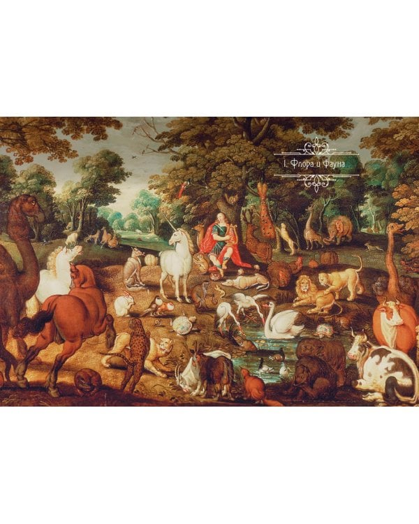 Книга Единорогов. Волшебный путеводитель по страницам фолиантов, глубинам тайных знаний и вершинам изящных искусств