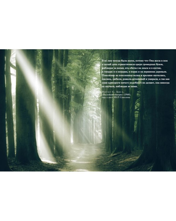 Книга Единорогов. Волшебный путеводитель по страницам фолиантов, глубинам тайных знаний и вершинам изящных искусств