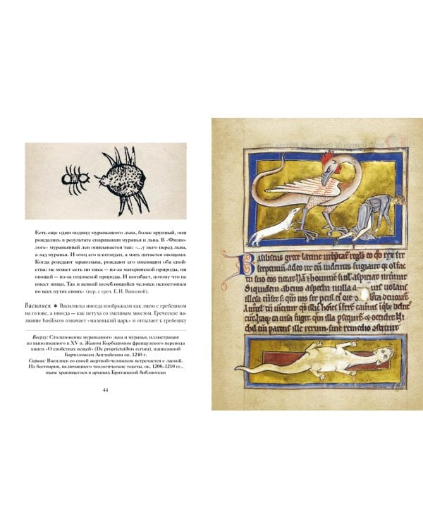 Книга Единорогов. Волшебный путеводитель по страницам фолиантов, глубинам тайных знаний и вершинам изящных искусств