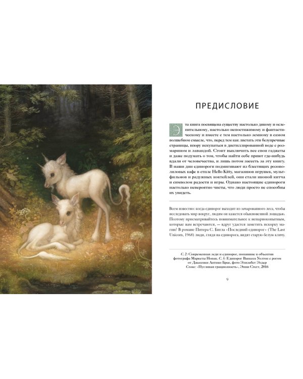 Книга Единорогов. Волшебный путеводитель по страницам фолиантов, глубинам тайных знаний и вершинам изящных искусств