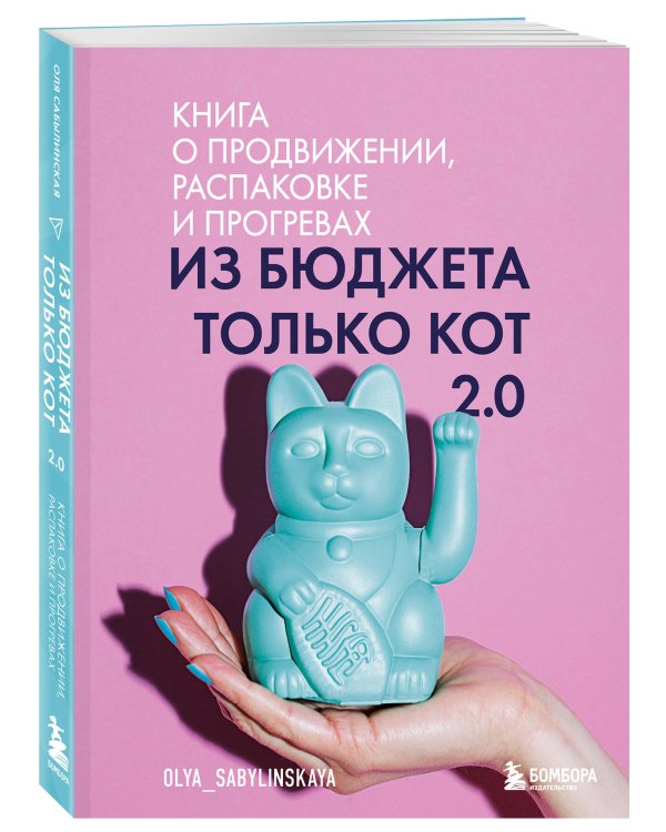 Из бюджета только кот 2.0