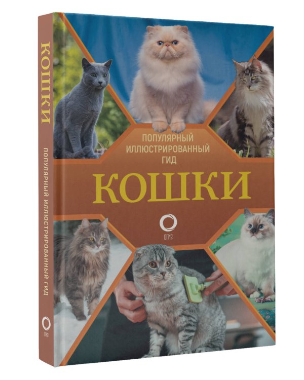Кошки