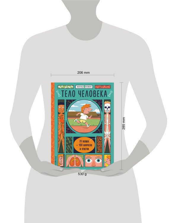 Тело человека (с окошками)