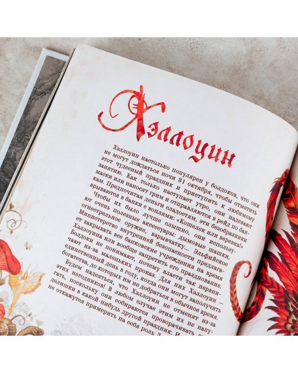 Волшебная вселенная Оливье Ледруа