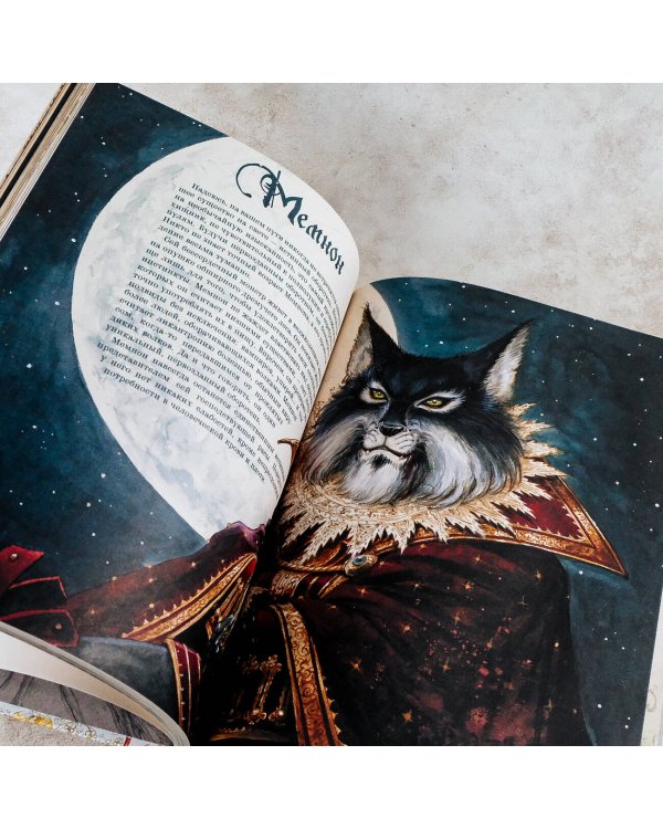 Волшебная вселенная Оливье Ледруа