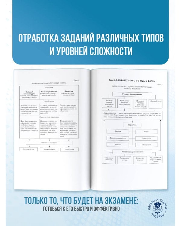 ЕГЭ. Обществознание. ЕГЭ на 100 баллов. Справочник: Теория и практика