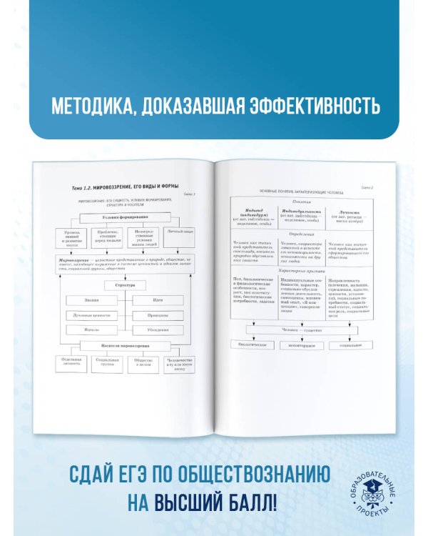 ЕГЭ. Обществознание. ЕГЭ на 100 баллов. Справочник: Теория и практика