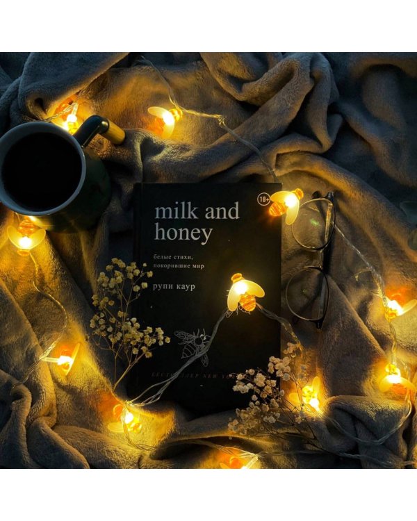 Milk and Honey. Белые стихи, покорившие мир