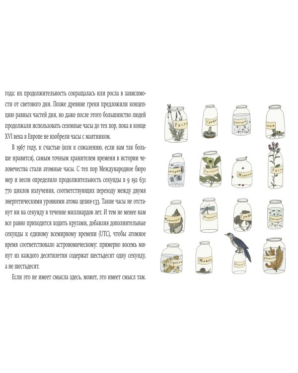 Вкус Солнца. Маленькие чудеса необъятной Вселенной