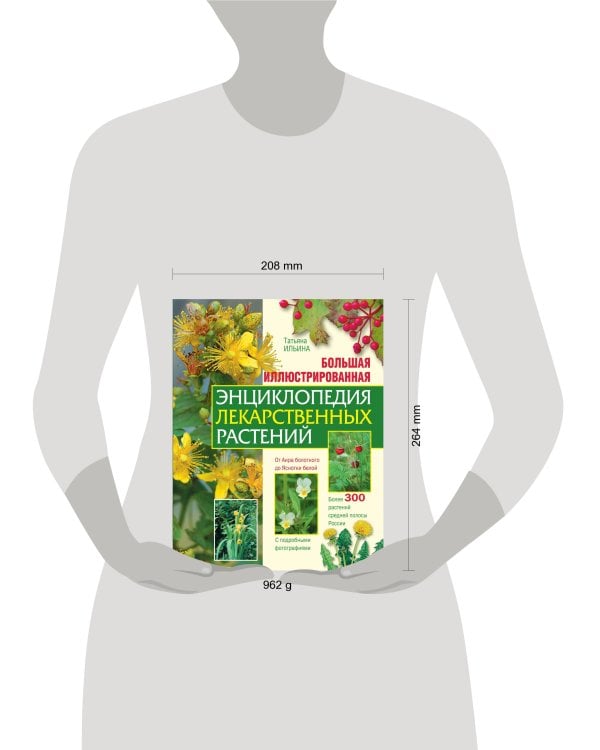 Большая иллюстрированная энциклопедия лекарственных растений