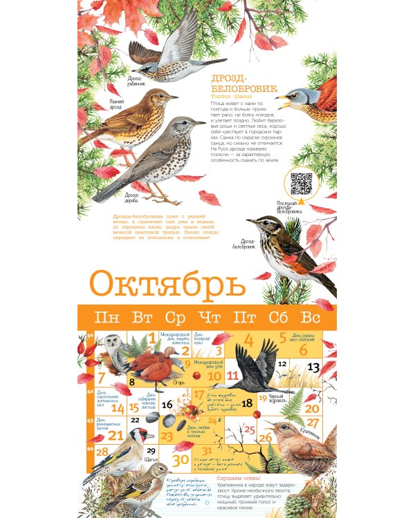 Календарь Певчие птицы с голосами 2024 год