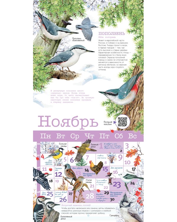 Календарь Певчие птицы с голосами 2024 год