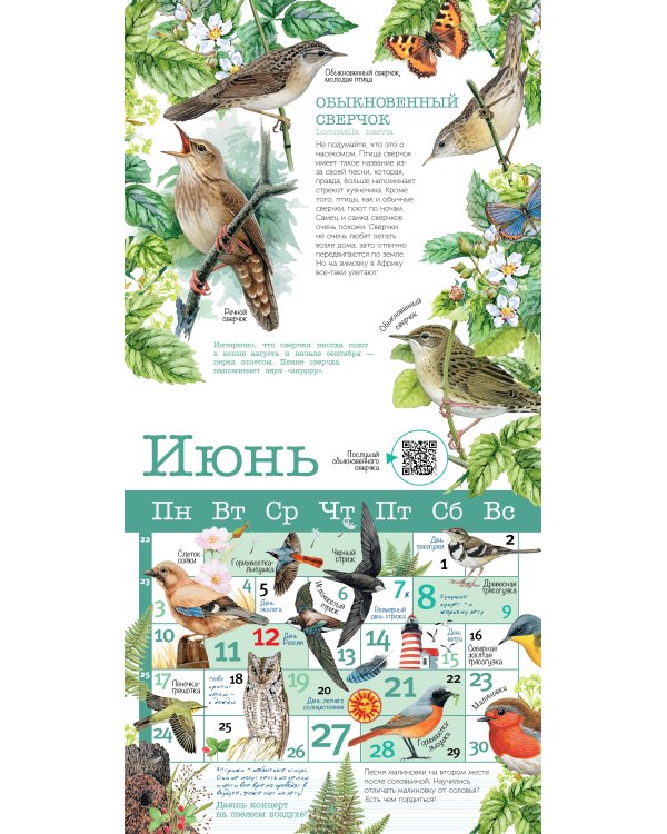 Календарь Певчие птицы с голосами 2024 год
