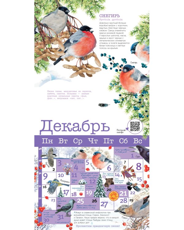 Календарь Певчие птицы с голосами 2024 год