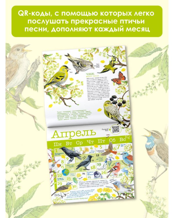 Календарь Певчие птицы с голосами 2024 год