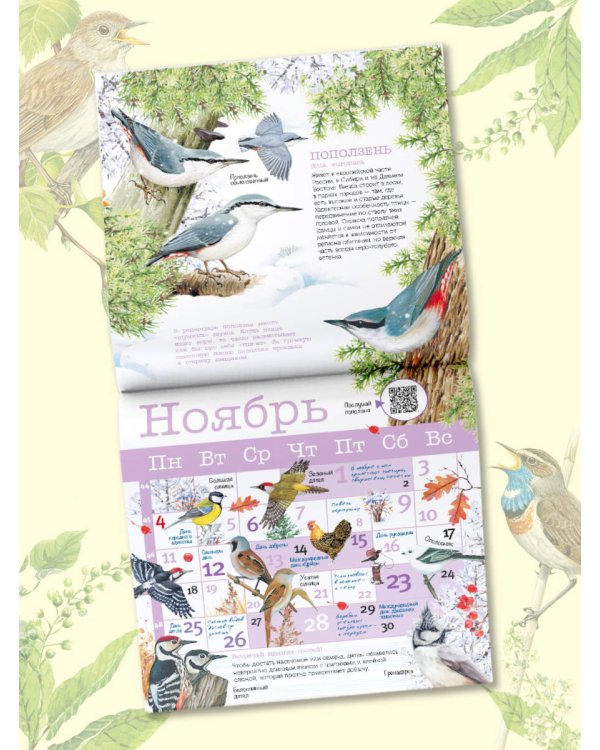 Календарь Певчие птицы с голосами 2024 год